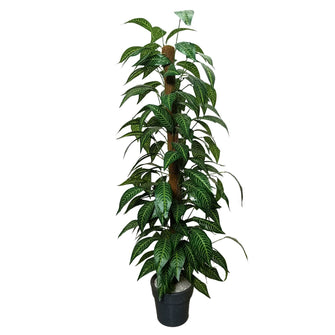 Artificial Plant without Pot - 61- Height (6 Feet)