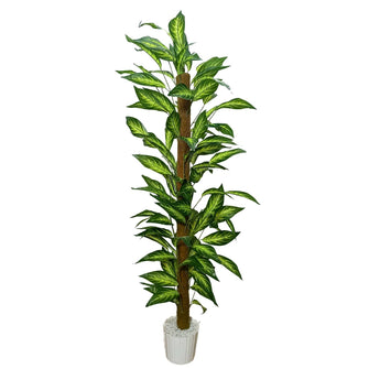 Artificial Plant without Pot - 62- Height (6 Feet)