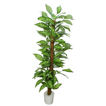 Artificial Plant without Pot - 63- Height (6 Feet)