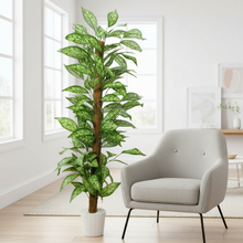 Artificial Plant without Pot - 63- Height (6 Feet)