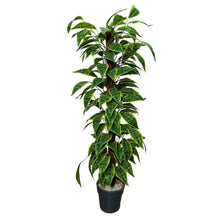 Artificial Plant without Pot - 64- Height (6 Feet)