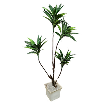 Artificial Plant without Pot - 66- Height (5 Feet)