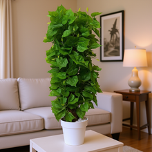 Artificial Plant without Pot - 51- Height (2 Feet)