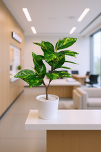 Artificial Green Leaves plant 2 branches Height 65 CM