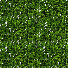 Wall mat - Hackleberry green ( 24 * 16 Inch)