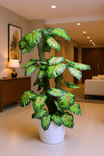 Artificial plant colored variegated croton leaves set of 3 plants  5 feet height