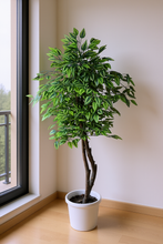 Artificial Ficus Tree Green plant 5 feet height
