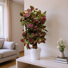 Artificial Plant without Pot - 55- Height (2 Feet)