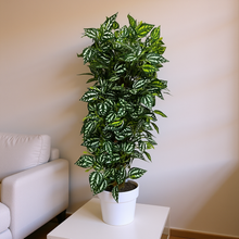 Artificial Plant without Pot - 52- Height (2 Feet)