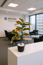 Artificial Green Leaves plant 2 branches Height 65 CM