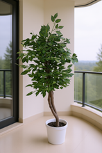Artificial Ficus Tree Green plant 5 feet height