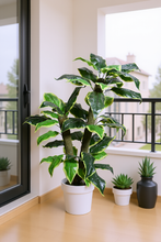 Artificial corn plant leaves set of 2 plants  4 feet height