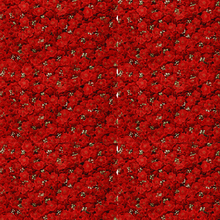 Flower Mat (Single)  (24 inch * 16 inch)