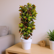 Artificial Plant without Pot - 54- Height (2 Feet)