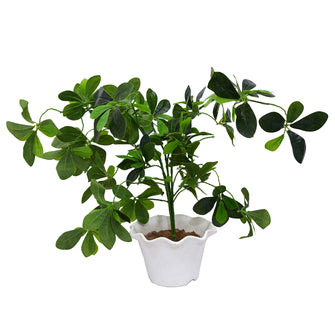 Artificial Plant Ficus without Pot