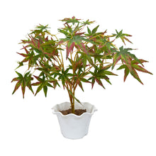 Artificial Plant Mapple Premium without Pot - Fancy Mart