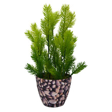 Artificial Pine in Texture Pot - Fancy Mart