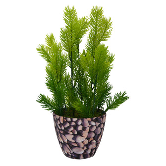 Artificial Pine in Texture Pot