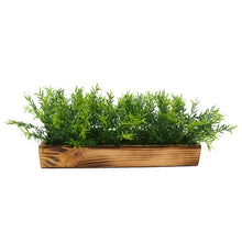 Artificial Plant Spery Grass in Wooden Tray ( Height : 15 cm x Width : 30 cm)