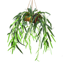 Artificial Falling Leaves Willow Hanging in Wood Buckle Pot