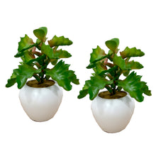 Artificial Cactus plant ( Set of 2 ) with small apple pot