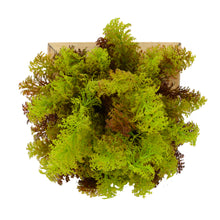 Artificial Green Wall Corriender plant Hanging Panel (20 cm X 20 cm )