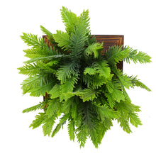 Artificial Green Wall Cypress plant Hanging Panel (20 cm X 20 cm )