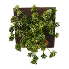 Artificial Green Wall Stonecrop plant Hanging Panel (20 cm X 20 cm )