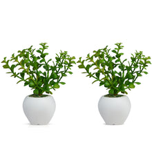 Artificial Jada Plant (Set of 2) in Small Apple Pot (Height 16 cm)