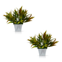 Artificial Bamboo Leaves (Set of 2) in Gamla Pot (Height : 17 cm)