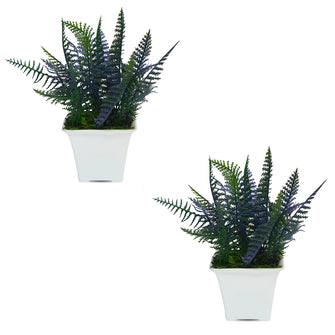 Artificial Christmas Leaves (Set of 2) in Gamla Pot (Height : 17 cm)