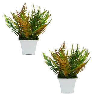 Artificial Christmas Leaves (Set of 2) in Gamla Pot (Height : 17 cm)