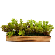 Artificial Plant Bunch in Wood Planter