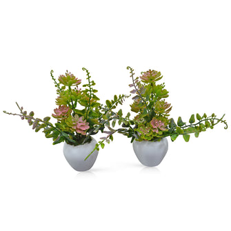 Artificial Cactus Plant in Small Apple Pot (Set of 2)