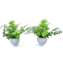 Artificial Cactus Plant in Small Apple Pot (Set of 2)