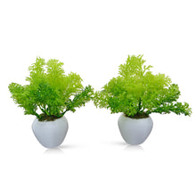 Artificial Corriender Plant in Small Apple Pot (Set of 2)