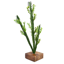 Aritificial Cactus Stick in Wood Pot
