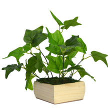 Artificial Money Plant leaves in Pot