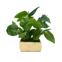 Artificial Money Plant leaves in Pot