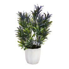 Artificial Plant Euphorbia in Star Pot( Height : 35cm / Width : 20cm)