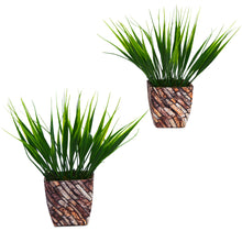Artificia Grass in Texture Pot - Set of 2 (Height : 24 cm)