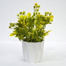 Artificial Acacia Beans Plant in Pot (Height : 28 cm)