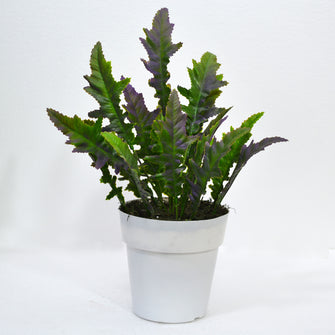 Artificial Plant Spring Feather in Pot (Height : 35 cm)
