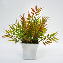Artificial Progned Bamboo Leaves in Pot (Height : 28 cm)