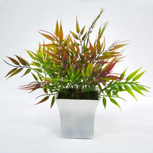 Artificial Progned Bamboo Leaves in Pot (Height : 28 cm)