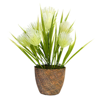 Artificial Seed Plant in Pot (Height : 35 cm)