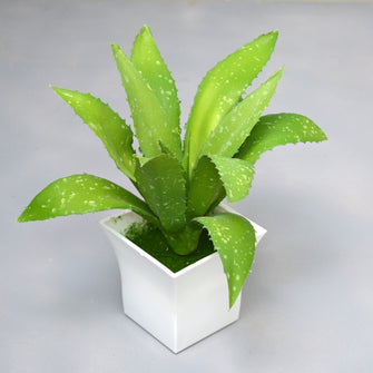 Artificial Aloe Vera Plant in Pot ( Height 25 cm )