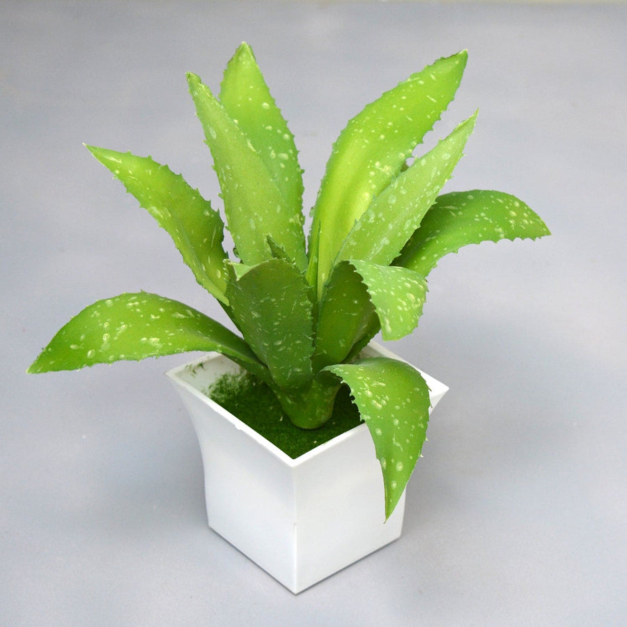 Artificial Aloe Vera Plant in Pot ( Height 25 cm ) – Fancy Mart