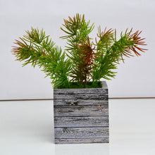Artificial Asparagus Leaves Plant in designer pot ( Height 22 cm )
