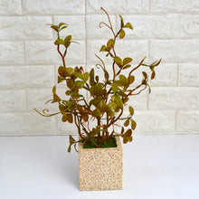 Artificial Bonsai Plant in designer pot ( Height 40 cms )